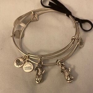 Alex and Ani Silver Charm Bracelet Trio